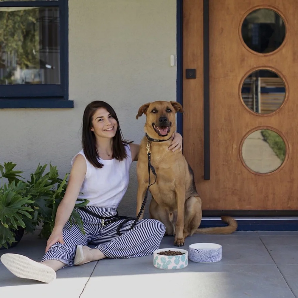 Modern Ceramic Dog Bowl in Blue Dot Pattern